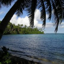 Samoa, nouvel adhérent au Protocole de Madrid